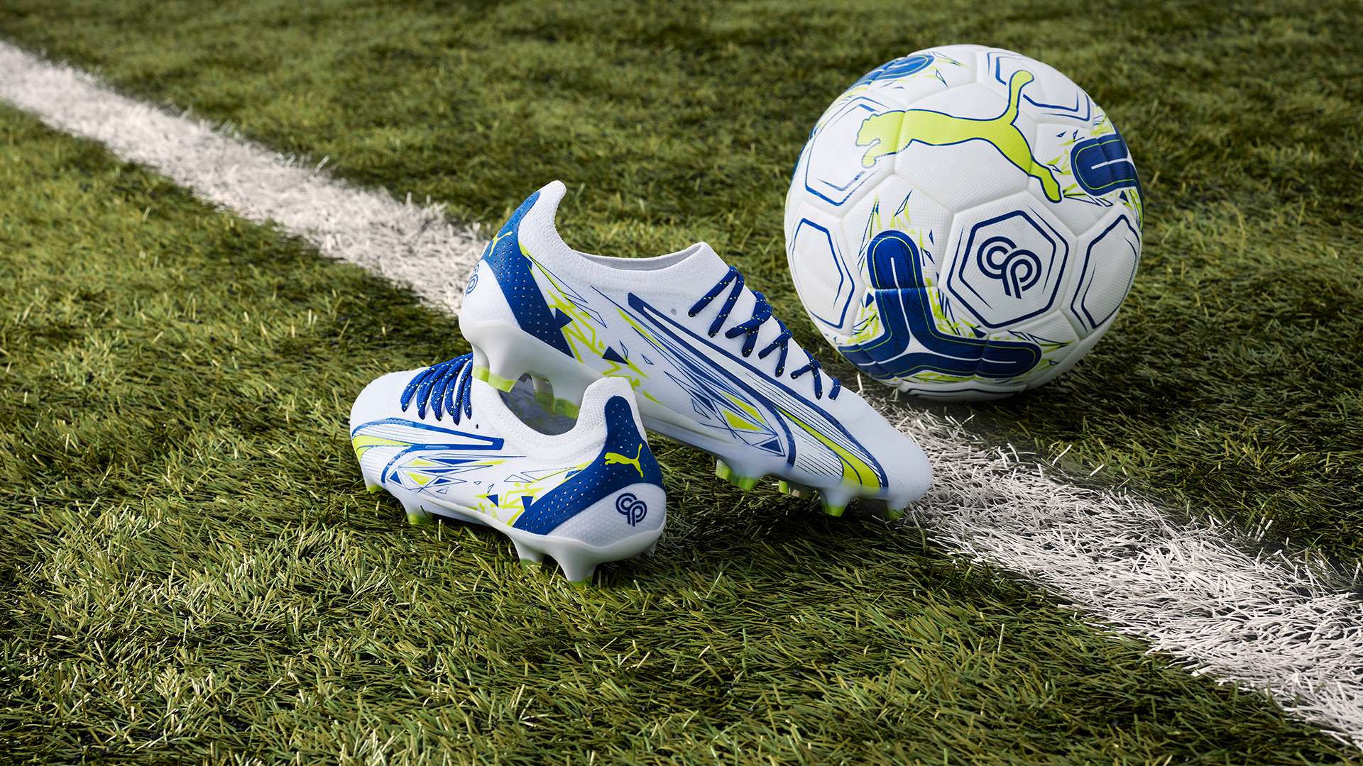 依然表现出 依然表现出