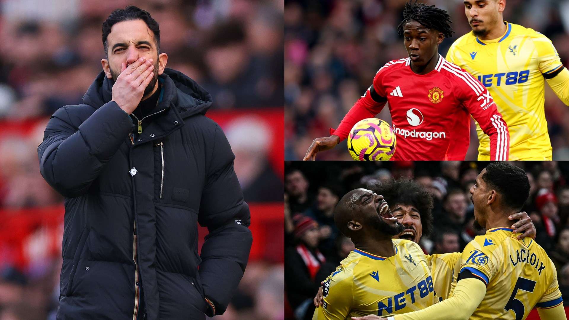 级分明的生 级分明的生