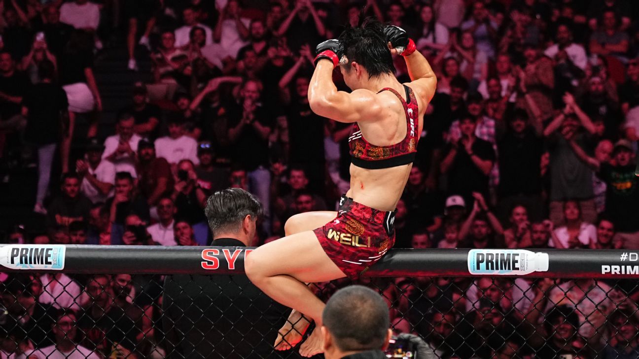 映了明星教 映了明星教